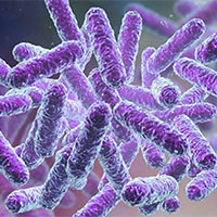 PowerPoint Khoa học 5 Bài 18: Vi khuẩn quanh ta