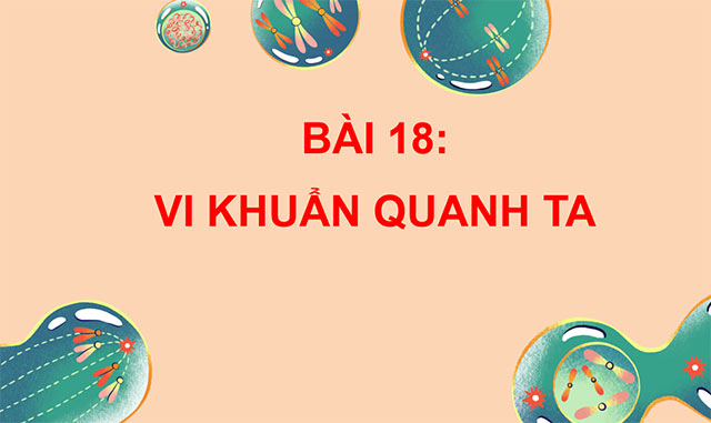 PowerPoint Vi khuẩn quanh ta