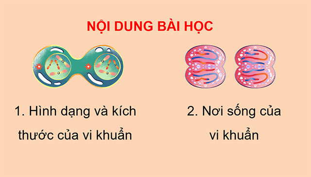 PowerPoint Vi khuẩn quanh ta