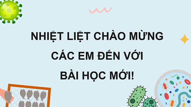 PowerPoint Vi khuẩn có ích trong chế biến thực phẩm