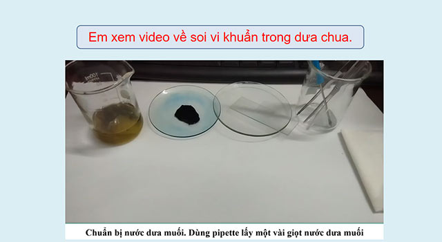 PowerPoint Vi khuẩn có ích trong chế biến thực phẩm