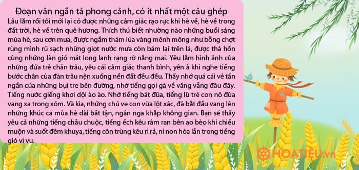 Đoạn văn ngắn tả phong cảnh, có ít nhất một câu ghép