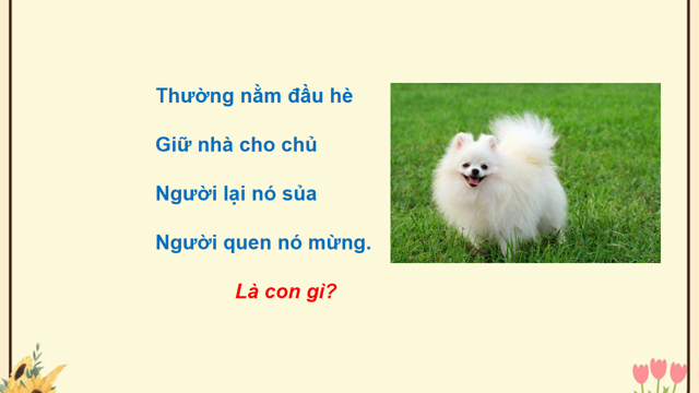 PowerPoint Tiếng Việt 4 Bài 12 viết 1: Tả con vật