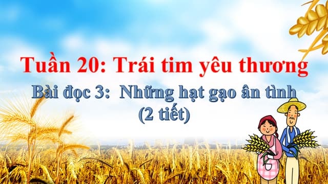 PowerPoint Những hạt gạo ân tình