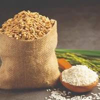 PowerPoint Tiếng Việt 4 Bài 11 đọc 3: Những hạt gạo ân tình