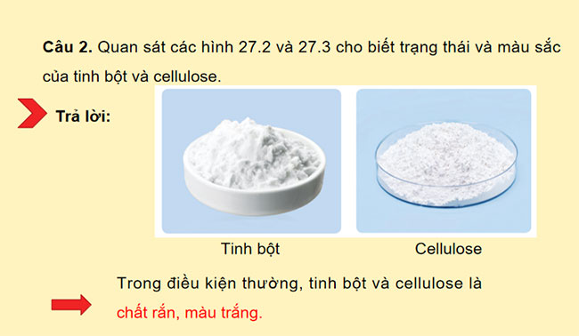 Giáo án Hóa học 9 Bài 27 Tinh bột và cellulose