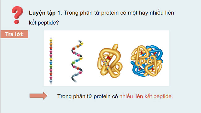 Giáo án Hóa học 9 Bài 28 Lipid và chất béo