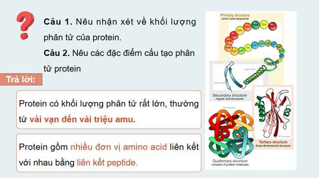 Giáo án Hóa học 9 Bài 28 Lipid và chất béo