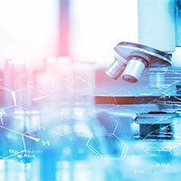 PowerPoint Khoa học tự nhiên 9 Bài 29: Polymer