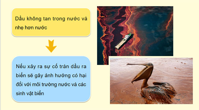 PowerPoint Khoa học tự nhiên 9 Bài 22: Nguồn nhiên liệu