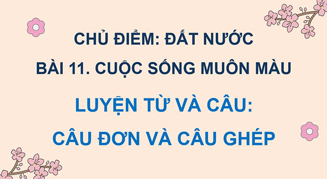 PowerPoint Câu đơn và câu ghép