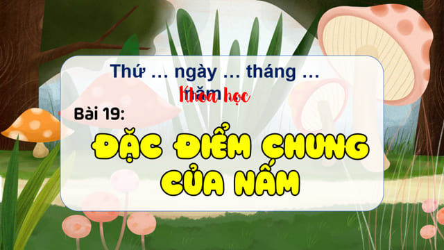 PowerPoint Khoa học 4 Bài 19: Đặc điểm chung của nấm