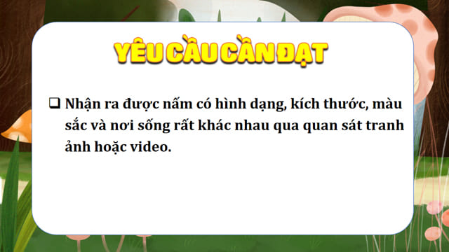 PowerPoint Đặc điểm chung của nấm lớp 4