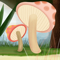 PowerPoint Khoa học 4 Bài 19: Đặc điểm chung của nấm