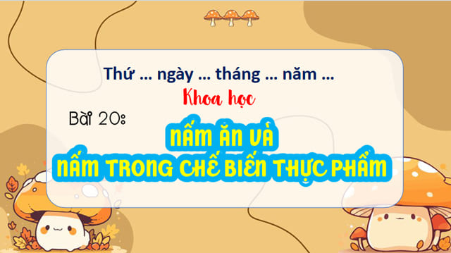 PowerPoint Khoa học 4 Bài 20: Nấm ăn và nấm trong chế biến thực phẩm