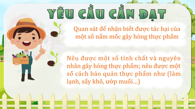 PowerPoint Khoa học 4 Bài 21: Nấm gây hỏng thức ăn và nấm độc