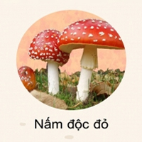 PowerPoint Khoa học 4 Bài 21: Nấm gây hỏng thức ăn và nấm độc