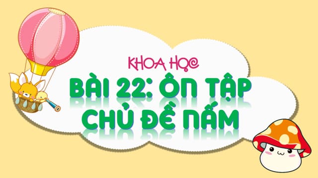 PowerPoint Khoa học 4 Bài 22: Ôn tập chủ đề Nấm