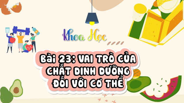 PowerPoint Vai trò của chất dinh dưỡng đối với cơ thể