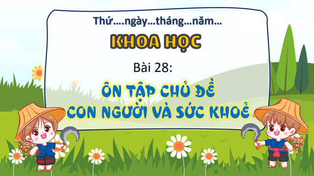 PowerPoint Khoa học 4 Bài 28: Ôn tập chủ đề Con người và sức khoẻ