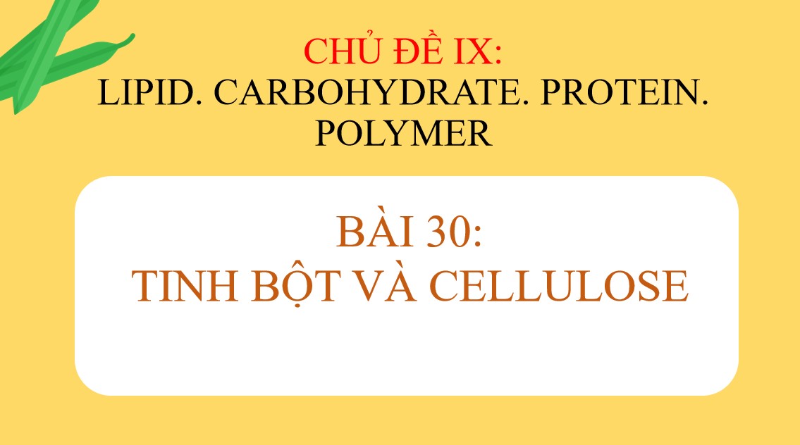 Bài giảng PowerPoint KHTN 9 Kết nối tri thức Bài 30