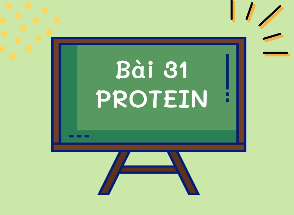 Bài giảng PowerPoint KHTN 9 Kết nối tri thức Bài 31