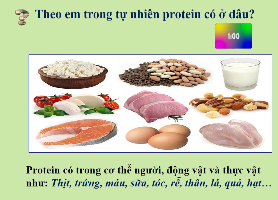 Bài giảng PowerPoint KHTN 9 Kết nối tri thức Bài 31