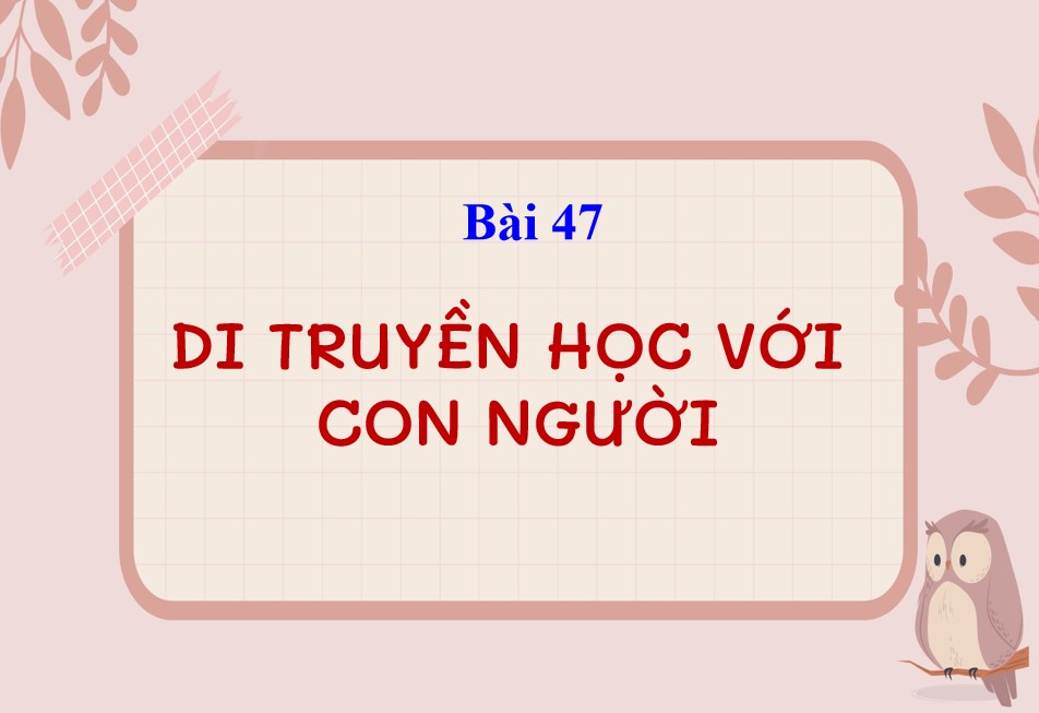 Bài giảng PowerPoint KHTN 9 Kết nối tri thức Bài 47