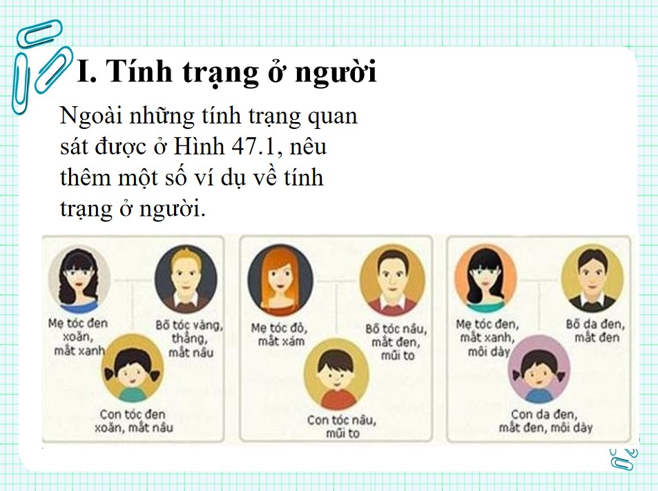 Bài giảng PowerPoint KHTN 9 Kết nối tri thức Bài 47