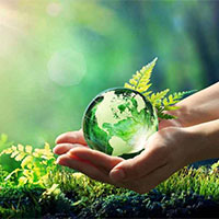 PowerPoint Hoạt động trải nghiệm 11 Chủ đề 7: Bảo vệ môi trường