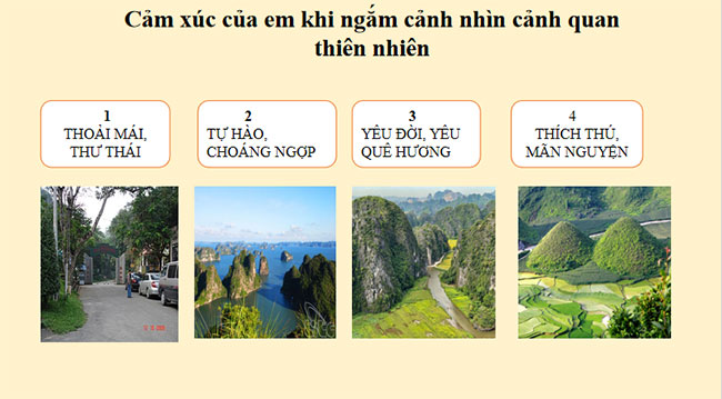PowerPoint HĐTN 11 Chủ đề 6: Bảo vệ môi trường 