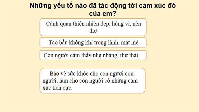PowerPoint HĐTN 11 Chủ đề 6: Bảo vệ môi trường 