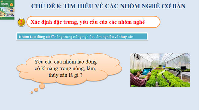 Giáo án Hoạt động trải nghiệm 11 Chủ đề 8 Kết nối tri thức 