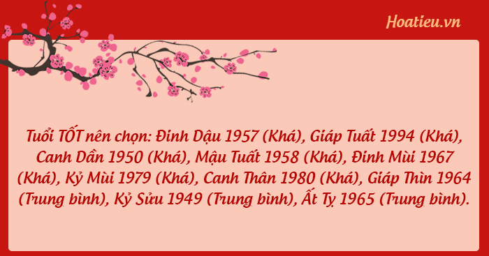 Tuổi xông đất 2025 cho gia chủ tuổi Nhâm Ngọ