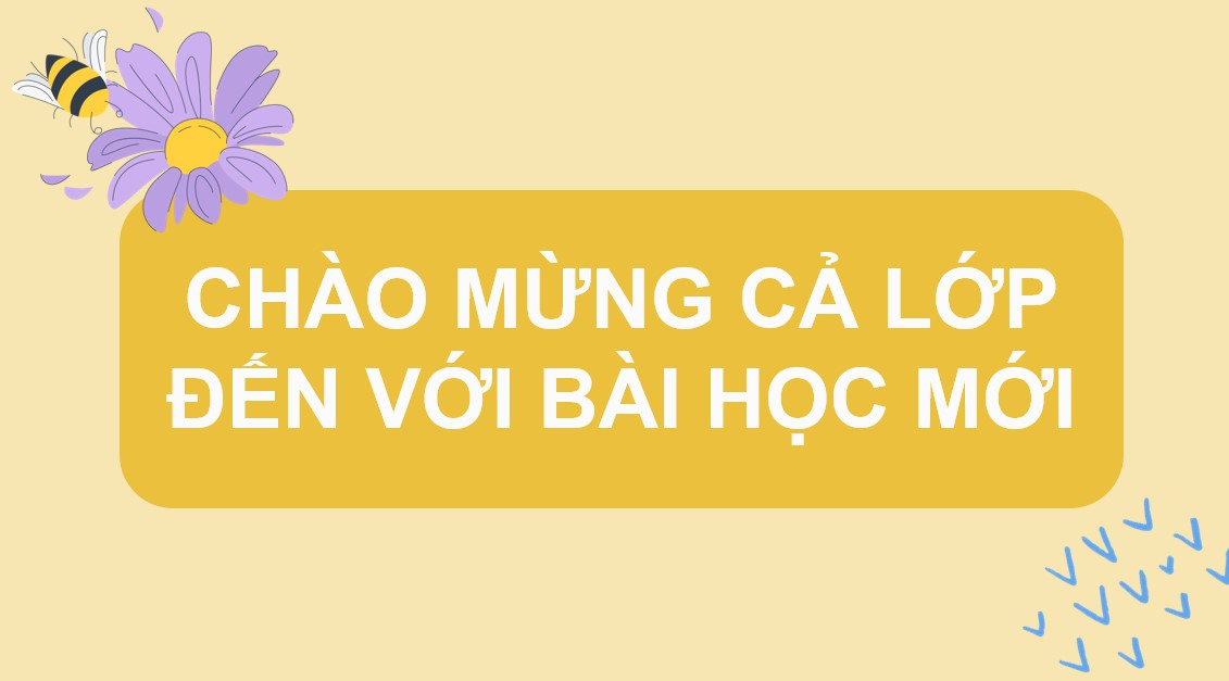 Giáo án PowerPoint Toán 12 KNTT Bài 11