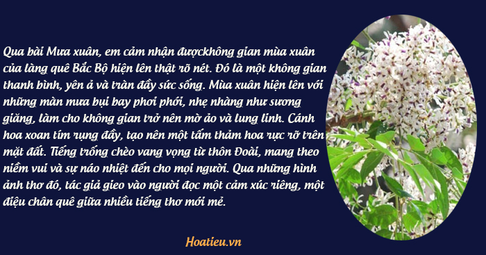 Viết kết nối với đọc bài Mưa xuân