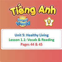 Powerpoint Tiếng Anh 9 Unit 5: Lesson 1