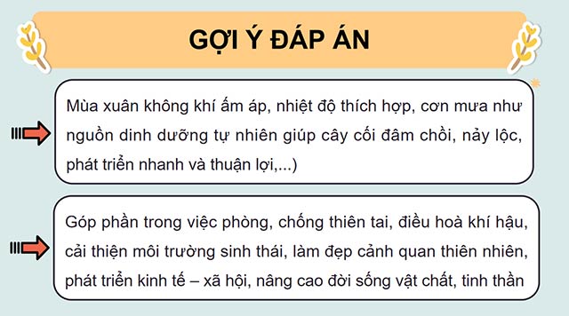 PowerPoint Đọc: Mùa xuân em đi trồng cây