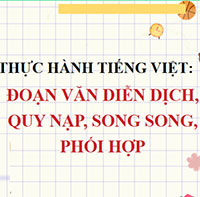 PowerPoint Ngữ Văn 8 Bài 2: Thực hành tiếng Việt trang 41