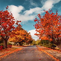 PowerPoint Ngữ Văn 8 Bài 3: Thiên nhiên và hồn người lúc sang thu