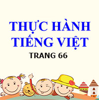 PowerPoint Ngữ Văn 8 Bài 3: Thực hành tiếng Việt trang 66