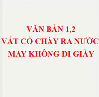 PowerPoint Ngữ Văn 8 Bài 4: Vắt cổ chày ra nước, May không đi giày