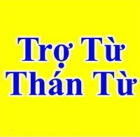 PowerPoint Ngữ Văn 8 Bài 5: Thực hành tiếng Việt trang 115