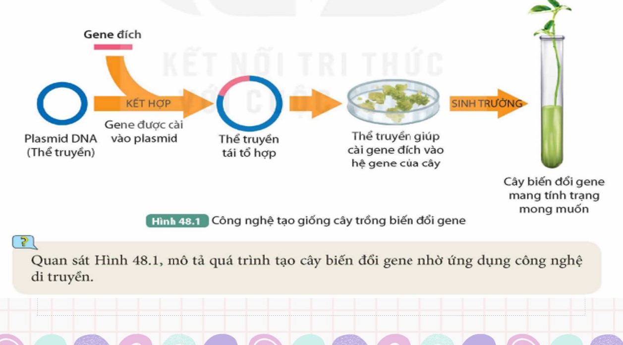 Bài giảng PowerPoint KHTN 9 Kết nối tri thức Bài 48