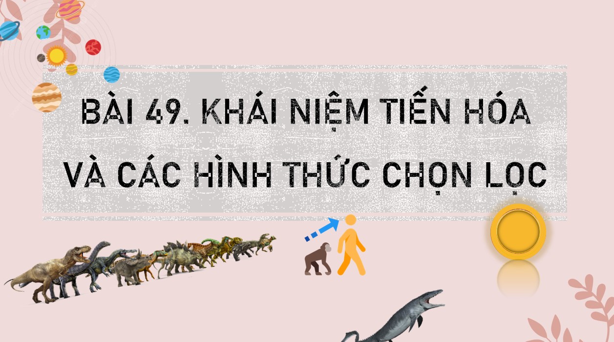 Bài giảng PowerPoint KHTN 9 Kết nối tri thức Bài 49