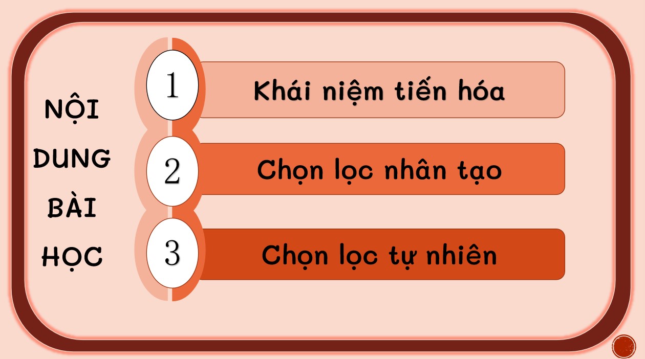 Bài giảng PowerPoint KHTN 9 Kết nối tri thức Bài 49