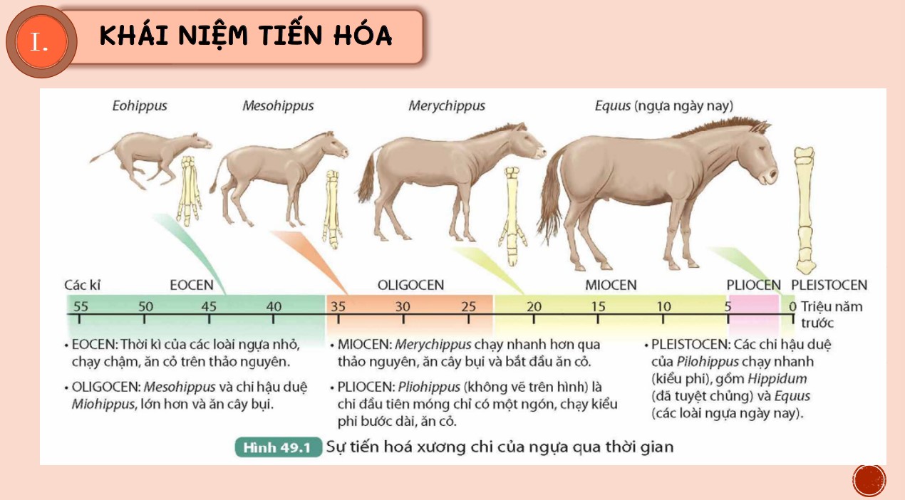 Bài giảng PowerPoint KHTN 9 Kết nối tri thức Bài 49