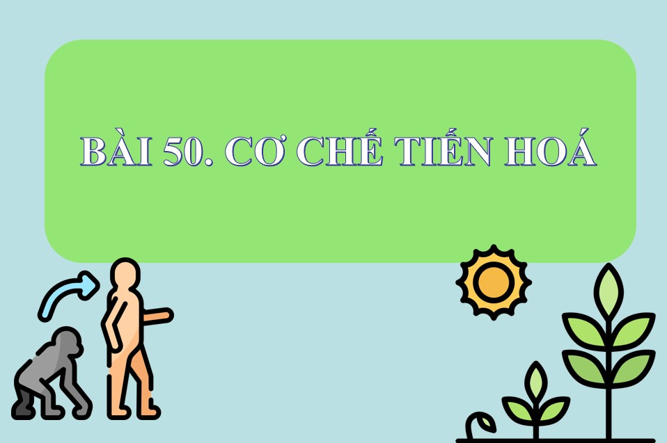 Bài giảng PowerPoint KHTN 9 Kết nối tri thức Bài 50