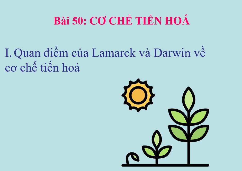 Bài giảng PowerPoint KHTN 9 Kết nối tri thức Bài 50