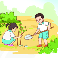 Đoạn văn kể về một việc làm của em hoặc bạn bè để góp phần bảo vệ cây xanh